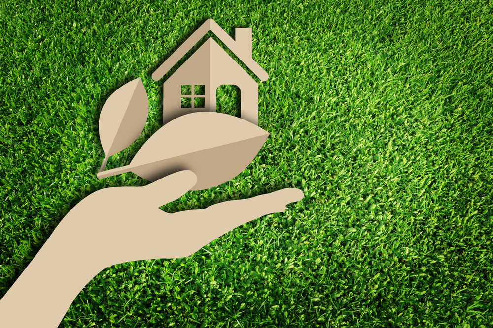 building green home